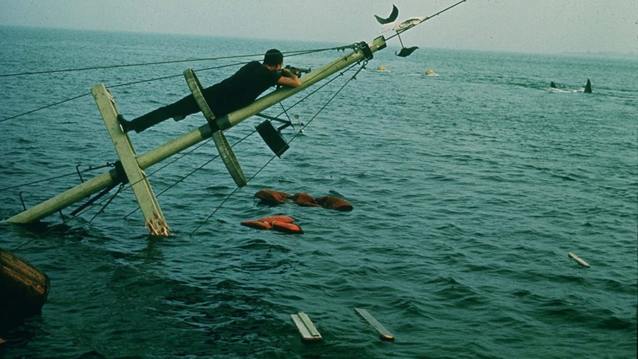 Jaws Has Just Turned 45