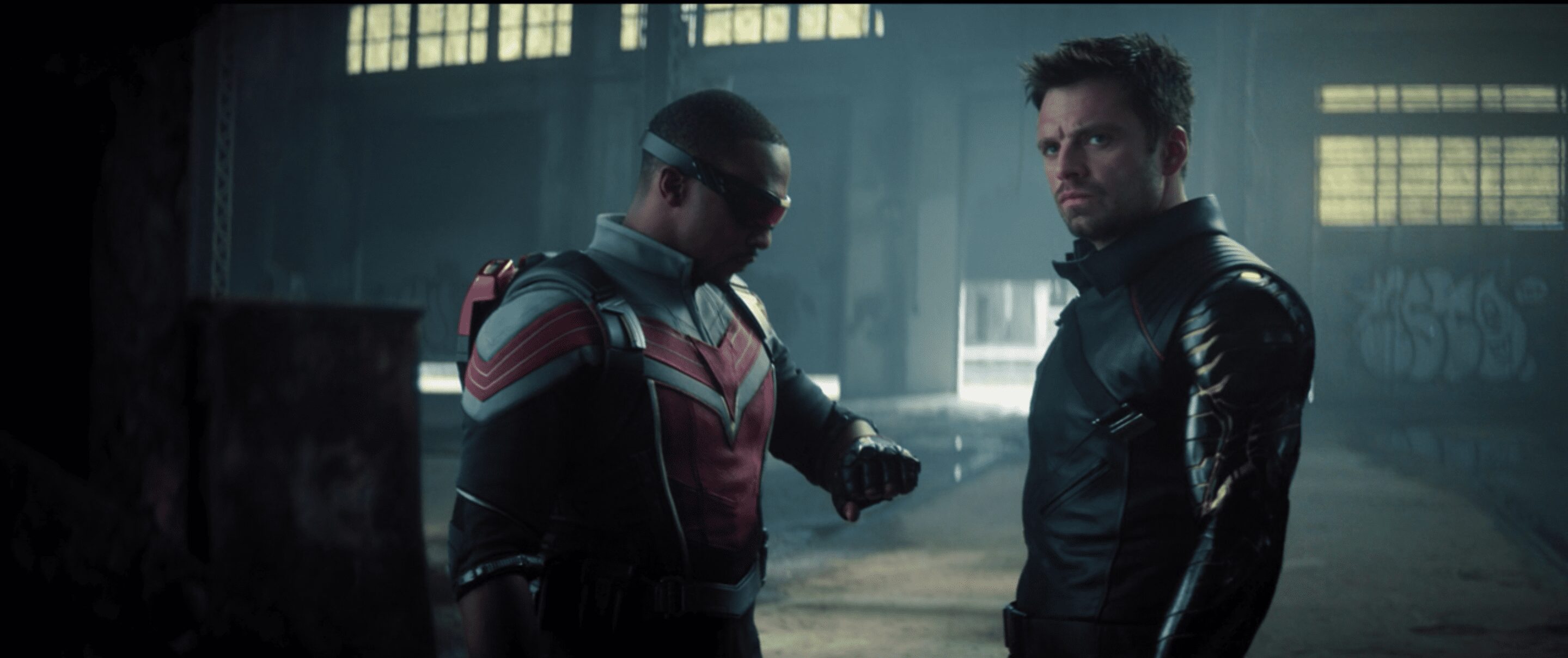 Bucky and Wilson - The Falcon and The Winter Soldier.
