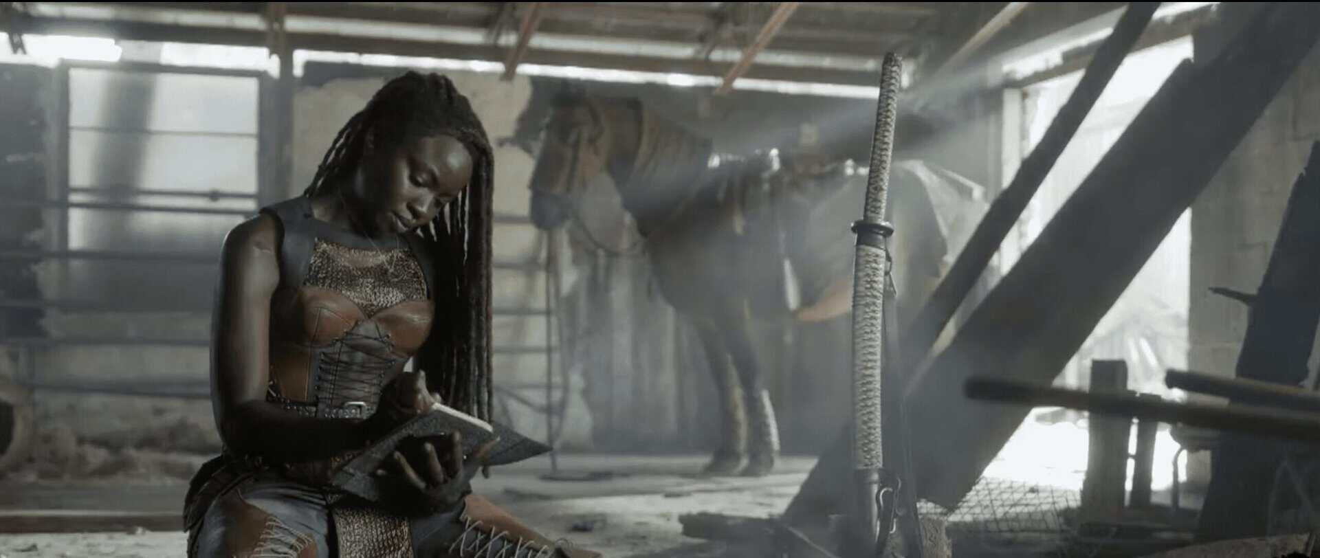Michonne - The Walking Dead.
