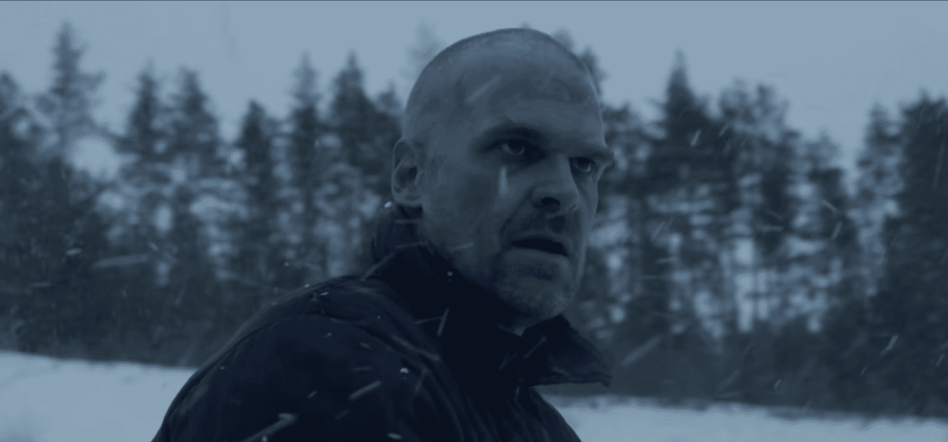 Hopper - Stranger Things Season 4.