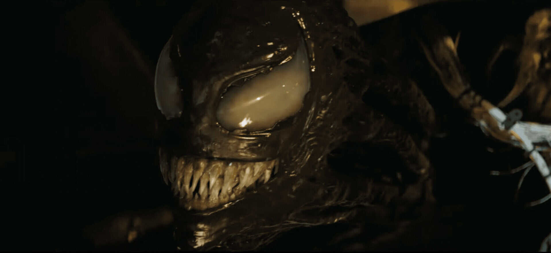 Venom. (Pic: Sony/Marvel).